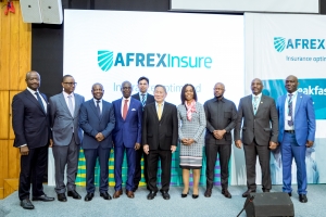 Afrique : Afreximbank lance une filiale d&#039;assurance pour soutenir le commerce intra-africain