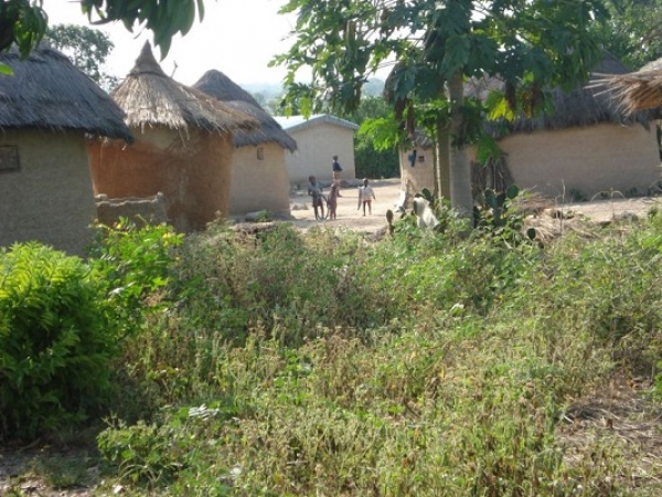 Une maison s&#039;écroule sur une sexagénaire et ses trois petits enfants à Agnibilékro