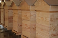 Côte d’Ivoire-Elevage d&#039;abeilles: Les jeunes de Duékoué s&#039;y mettent