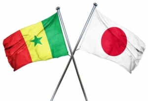 Sénégal-Japon: coopération bilatérale