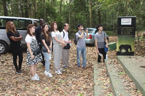 Tourisme écologique : Quand le parc du Banco d’Abidjan émerveille une délégation coréenne