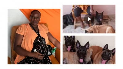 Lisa Kouadio :  la femme qui parle aux chiens dévoile les secrets de son métier