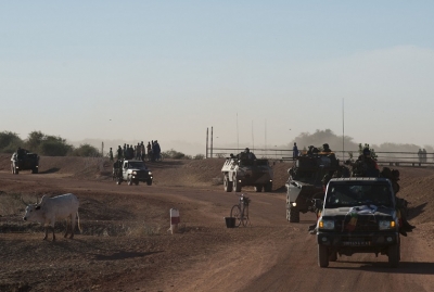 Niger : Des dizaines de terroristes tués