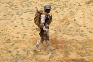 L’Allemagne veut maintenir sa présence au Sahel
