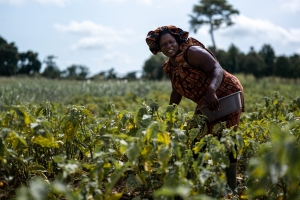 Côte d’Ivoire : la BAD veut renforcer le développement des infrastructures et des chaînes de valeur industrielles et agricoles