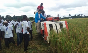 La Côte d’Ivoire à l&#039;école chinoise pour son autosuffisance en riz